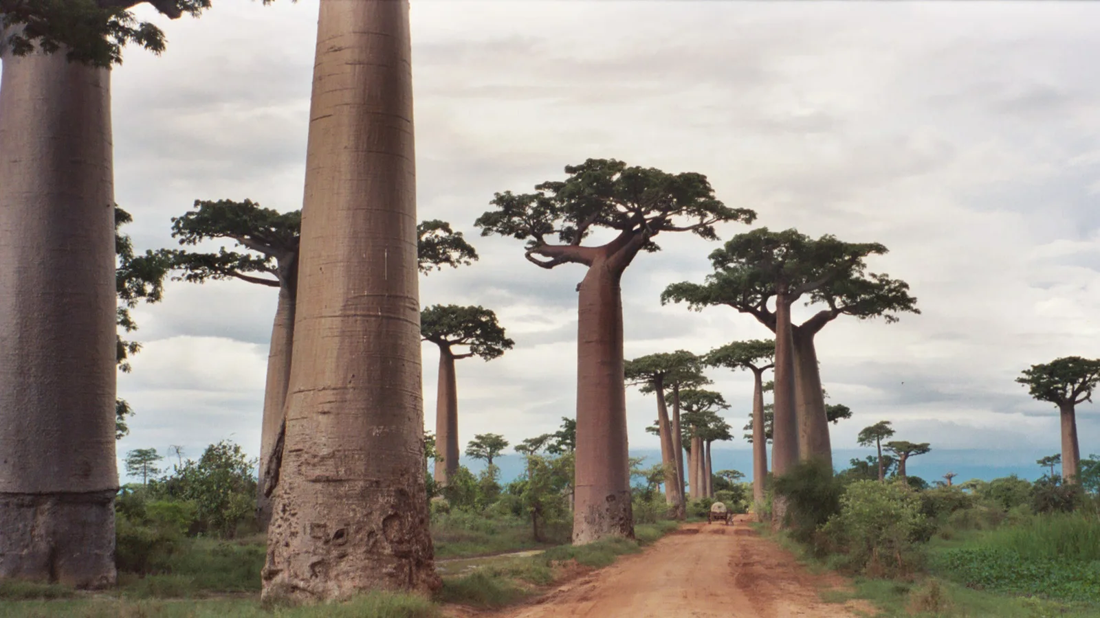 Madagascar