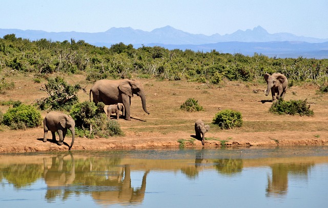 South Africa