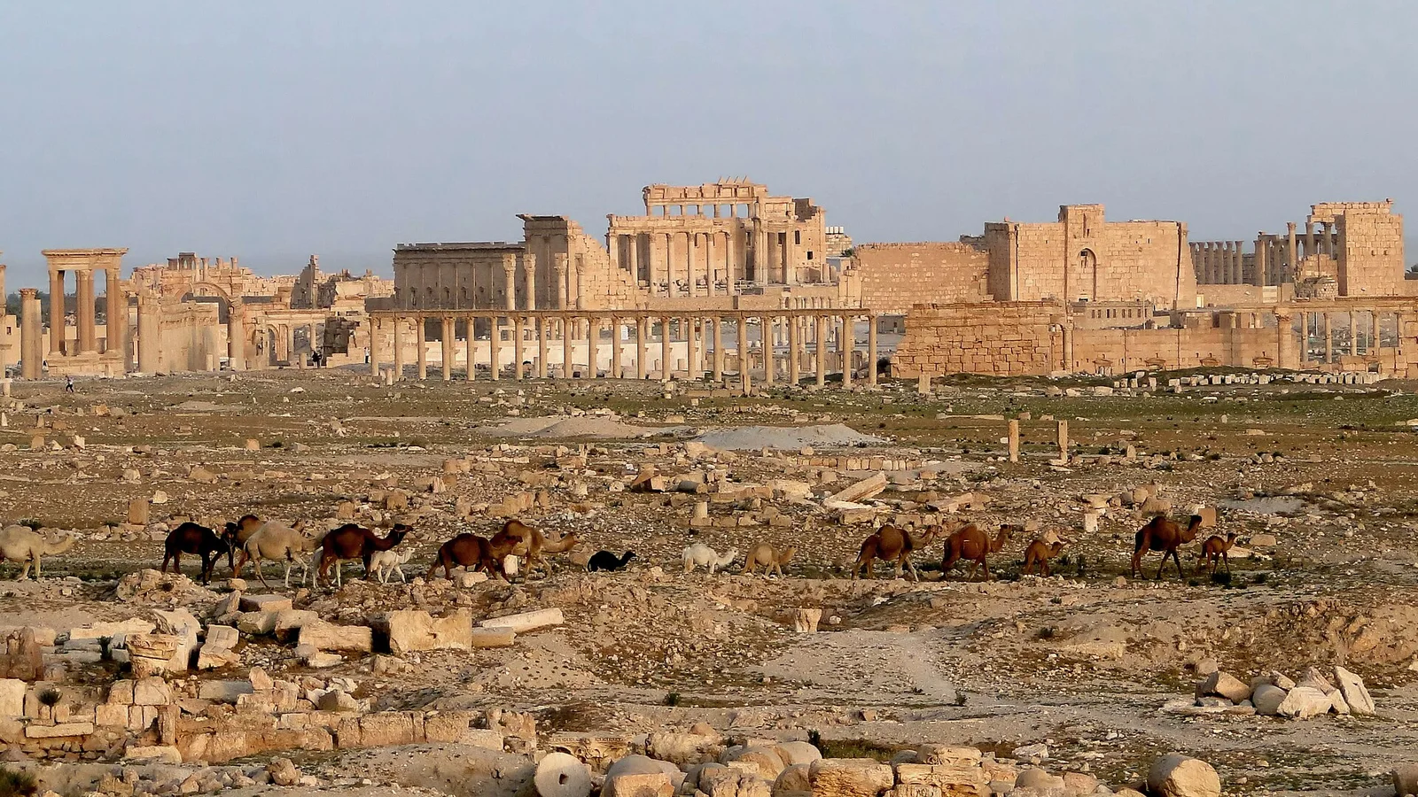 Syria