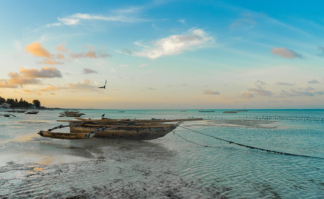 Zanzibar and Pemba (Tanzania)