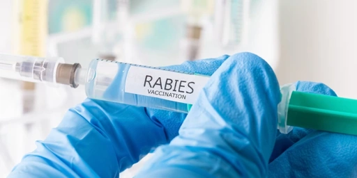 Rabies – Know your risks and treat exposures as potentially infectious