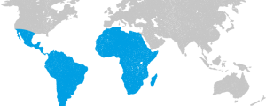 Yellow Fever: Risks, Transmission, and Prevention